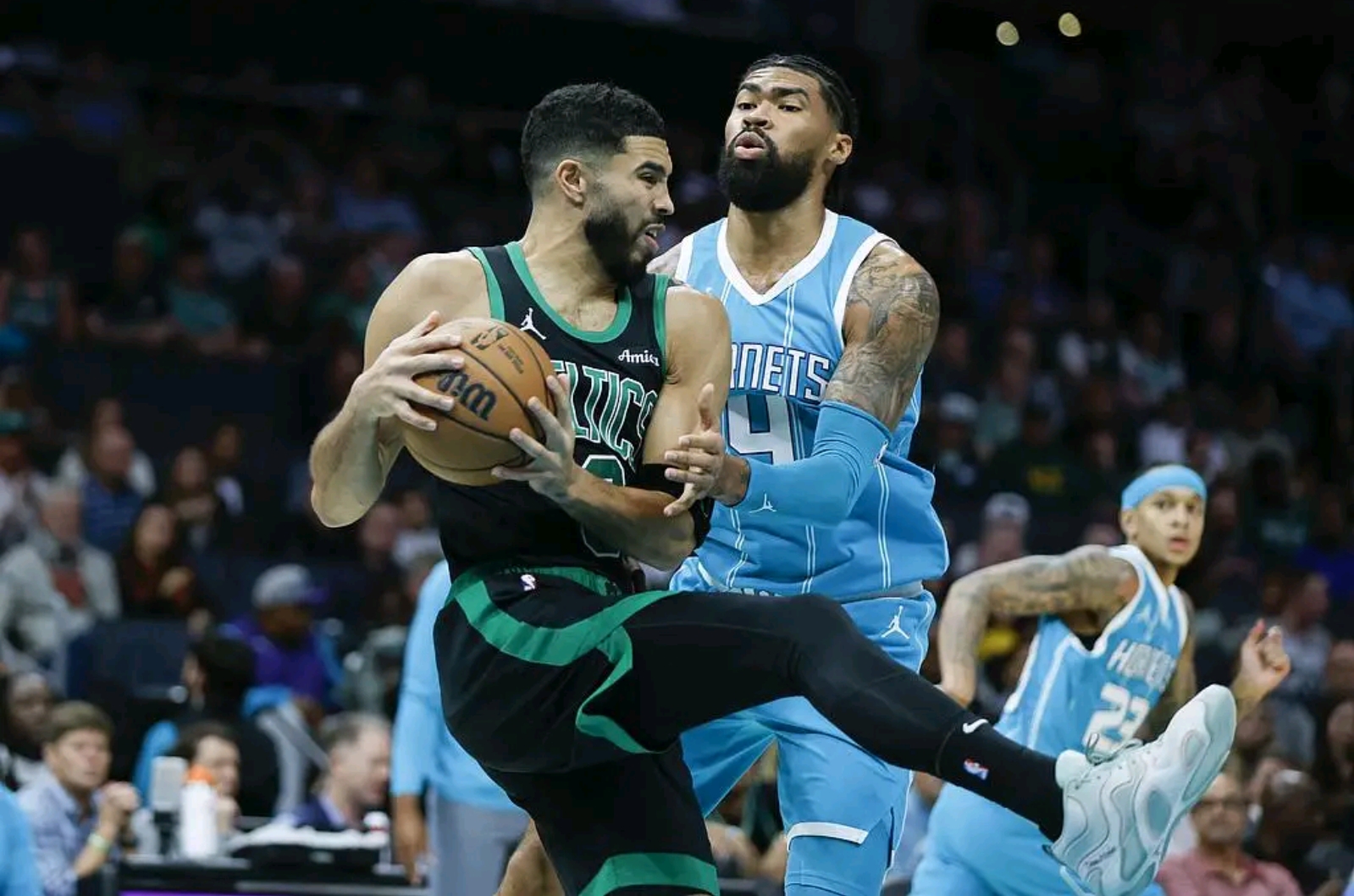 塔图姆官方公布新规，黄蜂引发争议，掀起高潮球迷热议！的简单介绍